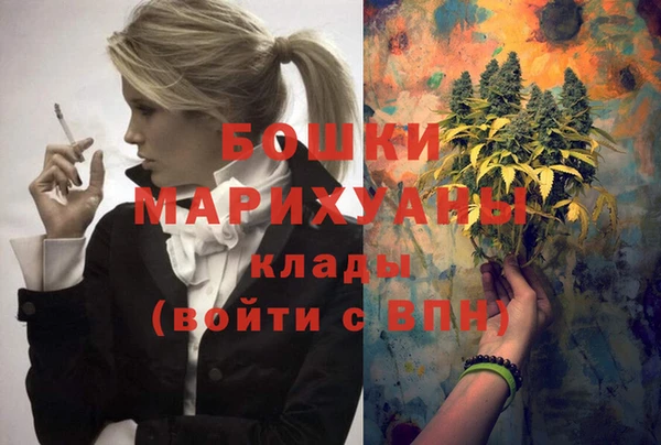 ешки Аркадак