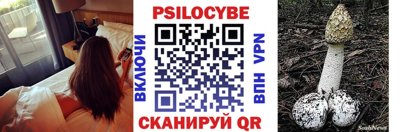 Псилоцибиновые грибы прущие грибы  Багратионовск 